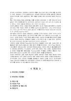 아이리버 iriver 재도약을 위한 미국진출 글로벌 마케팅전략보고서-20