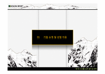 코오롱스포츠 경영분석및 마케팅전략분석과 새로운 마케팅전략제안 PPT-2