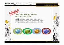 코오롱스포츠 경영분석및 마케팅전략분석과 새로운 마케팅전략제안 PPT-3