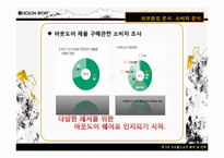 코오롱스포츠 경영분석및 마케팅전략분석과 새로운 마케팅전략제안 PPT-13