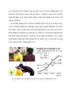 카페베네 미국진출위한 마케팅 STP,SWOT,4P 전략 제안보고서-5