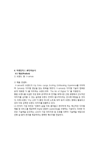 엑스캔버스 제품 SWOT분석및 마케팅전략분석보고서-11