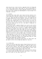 미스터피자 마케팅사례분석및 중국진출위한 마케팅전략제안및 나의견해-10