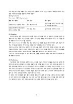 히든챔피언(강소기업) 기업 성공사례분석-오로라월드 성공사례-12