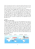 히든챔피언(강소기업) 기업 성공사례분석-오로라월드 성공사례-14