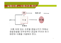 [식품공학] 당근 건조-4