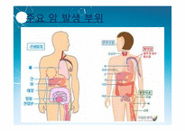 [면역] 대장암 치료를 위한 Anti-EGFR, Anti-VEGF antibody-5
