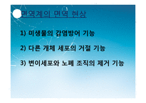[면역] 대장암 치료를 위한 Anti-EGFR, Anti-VEGF antibody-8