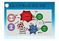 [면역] 대장암 치료를 위한 Anti-EGFR, Anti-VEGF antibody-9