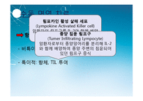 [면역] 대장암 치료를 위한 Anti-EGFR, Anti-VEGF antibody-16