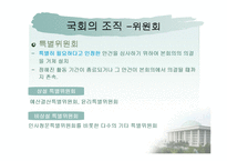 한국의 입법과정과 의회-19