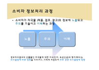 소비자 정보처리 과정 -노출, 주의, 이해-3
