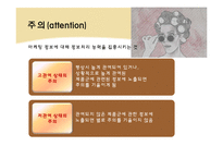 소비자 정보처리 과정 -노출, 주의, 이해-5