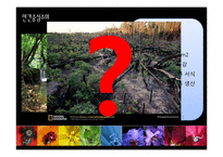 [생태중심주의] 인간중심주의의 한계와 심층생태주의-14