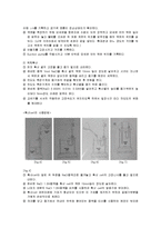 [반응현상실험] 기체 확산과 액체 확산(liquid & gas diffusion)-6