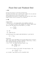 [반응실험] 고정층과 유동층(Fixed Bed and Fluidized Bed)-1