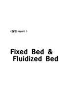 [반응실험] 고정층과 유동층(Fixed Bed and Fluidized Bed)-8