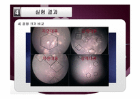 [반응현상실험] 결정화 결과 보고서-10