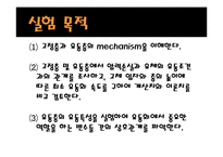 [반응실험] 고정층 결과 레포트-2