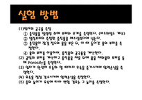 [반응실험] 고정층 결과 레포트-5