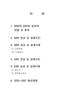 [경영정보] ERP & BPR-2