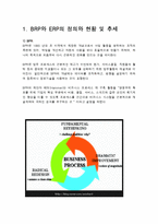 [경영정보] ERP & BPR-3