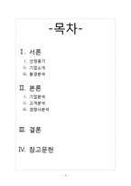서전 안경 & 룩 옵티컬 마케팅 분석-2