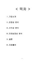 [재무관리] 평화정공 재무제표분석-2