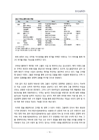 [글로벌경영전략] 이랜드의 위기와 극복과정(다각화, 지식경영을 중심으로)-11