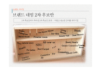 [광고캠페인전략] 동남아시아 화장품 유통업 브랜드 론칭 광고 캠페인 전략-13