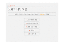 [광고캠페인전략] 동남아시아 화장품 유통업 브랜드 론칭 광고 캠페인 전략-14