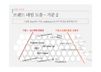 [광고캠페인전략] 동남아시아 화장품 유통업 브랜드 론칭 광고 캠페인 전략-16