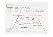 [광고캠페인전략] 동남아시아 화장품 유통업 브랜드 론칭 광고 캠페인 전략-17