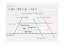 [광고캠페인전략] 동남아시아 화장품 유통업 브랜드 론칭 광고 캠페인 전략-19