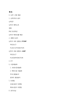 [국제마케팅] `난타`의 성공사례-2