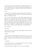 [국제마케팅] `난타`의 성공사례-11