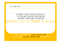 일동후디스 마케팅 커뮤니케이션전략-18