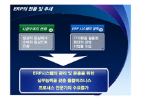 [경영정보] ERP & BPR-5