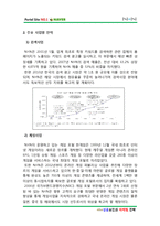 [A+] 네이버 NAVER - 기업전략분석 성공요인 마케팅전략 4p stp swot 광고전략 분석(HWP)-13