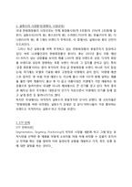 아모레퍼시픽 설화수 마케팅전략분석-3
