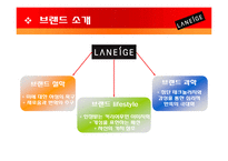 라네즈 laneige 브랜드분석및 마케팅전략분석 파워포인트-6