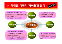 라네즈 laneige 브랜드분석및 마케팅전략분석 파워포인트-8
