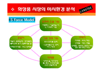 라네즈 laneige 브랜드분석및 마케팅전략분석 파워포인트-10