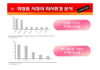 라네즈 laneige 브랜드분석및 마케팅전략분석 파워포인트-11
