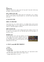 성남일화 관중동원위한 스포츠마케팅전략 보고서-7