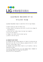 [LIG손해보험 - 공채] 합격자기소개서[LIG손해보험 자기소개서][LIG손해보험 합격자기소개서][LIG손해보험 자기소개서샘플][자기소개서-4