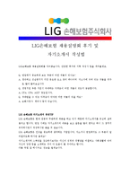 [LIG손해보험 - 경영지원] 합격자기소개서[LIG손해보험경영 자기소개서][LIG손해보험경영 합격자기소개서][LIG손해보험경영 자기소개서샘플]-4