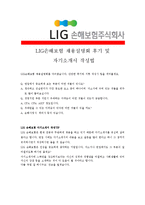 [LIG손해보험 - 자산운용] 합격자기소개서[LIG손해보험 자기소개서][LIG손해보험 합격자기소개서][LIG손해보험 자기소개서샘플][LIG-4