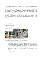 총각네야채가게 마케팅전략분석및 new 마케팅전략제안보고서-10