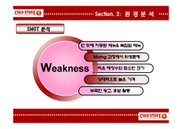 콜드스톤 기업 SWOT분석및 마케팅전략제안 PPT-8